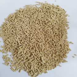 استارتر